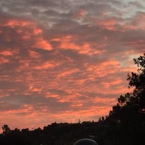 Meet your Posher, Cole